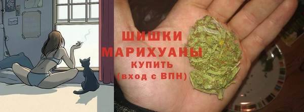 дмт Протвино