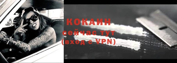 дмт Белокуриха