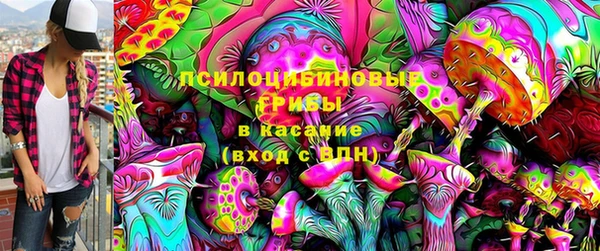 дмт Балахна